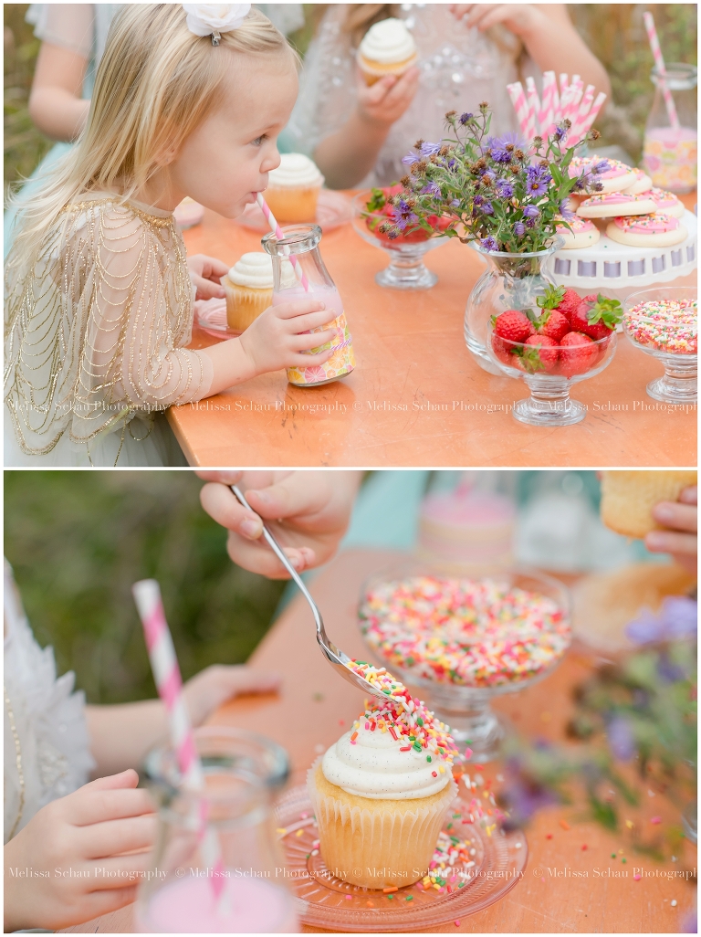 Cupcake Styled Photography Session by Melissa Schau Photography