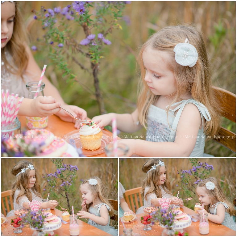 Cupcake Styled Photography Session by Melissa Schau Photography