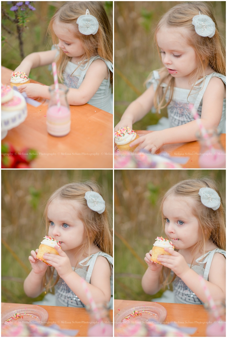 Cupcake Styled Photography Session by Melissa Schau Photography