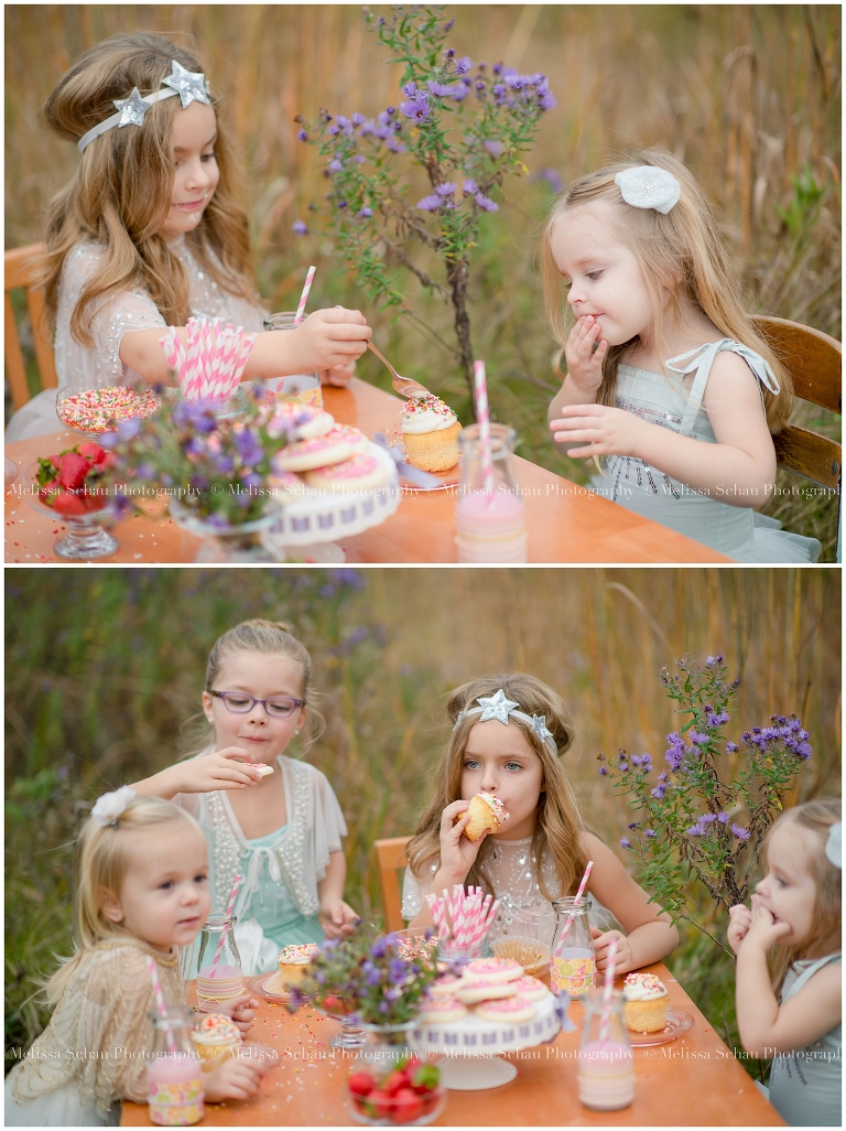 Cupcake Styled Photography Session by Melissa Schau Photography