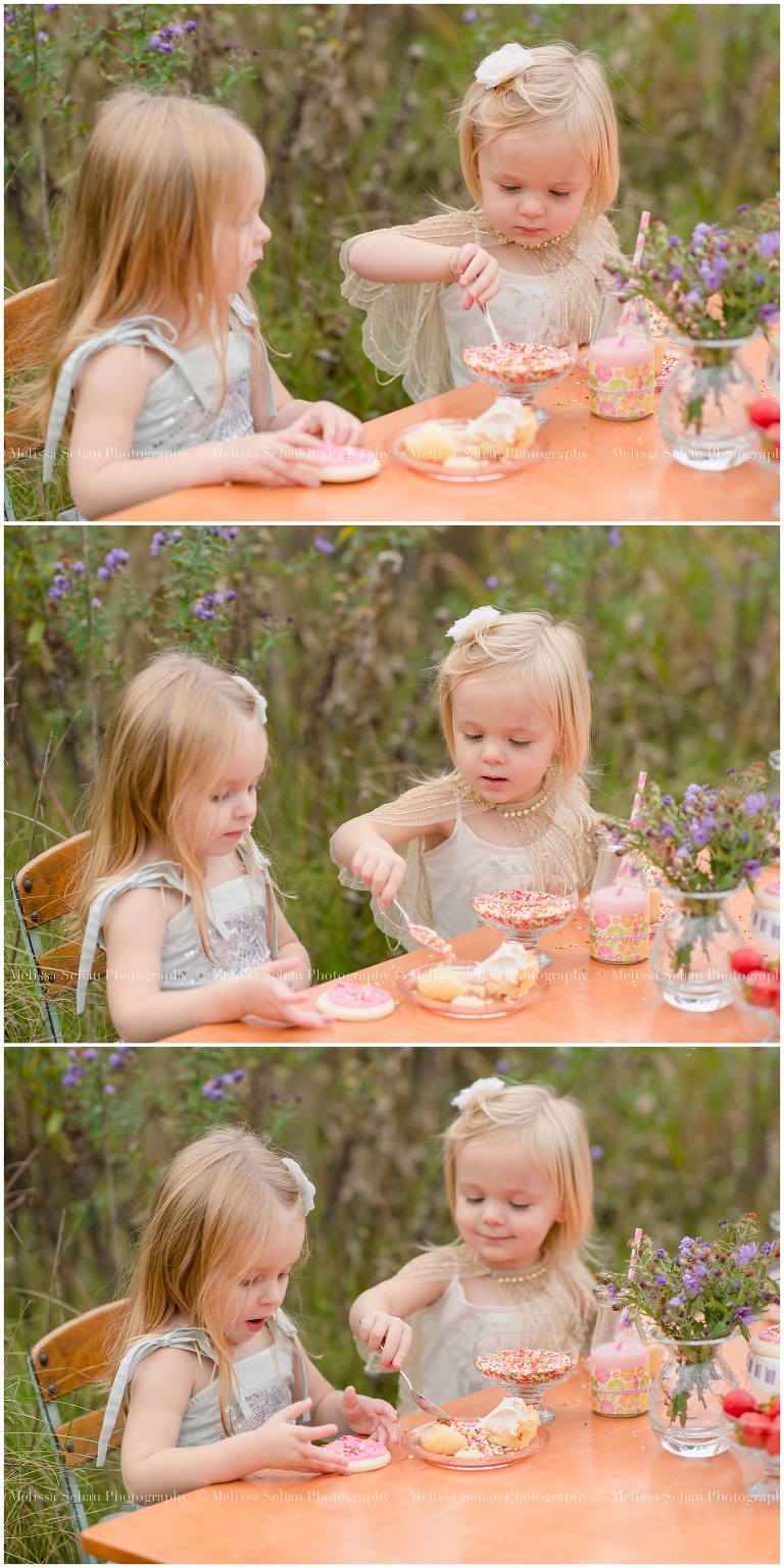 Cupcake Styled Photography Session by Melissa Schau Photography