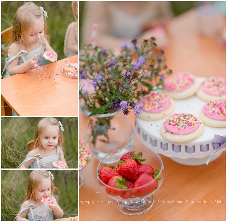 Cupcake Styled Photography Session by Melissa Schau Photography