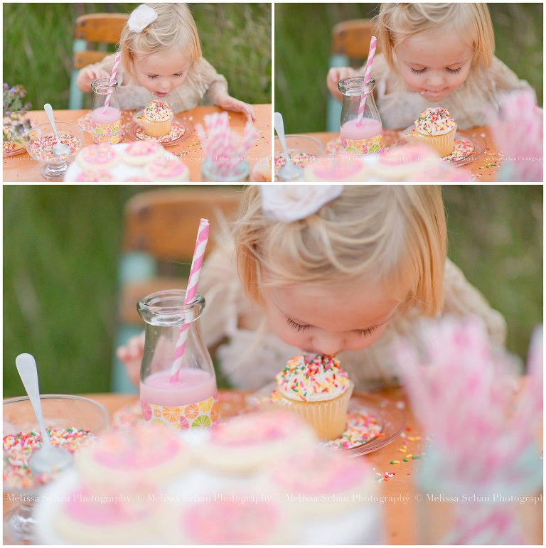 Cupcake Styled Photography Session by Melissa Schau Photography