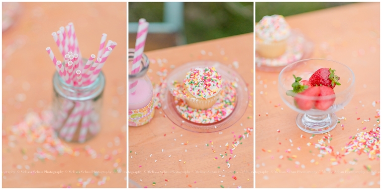 Cupcake Styled Photography Session by Melissa Schau Photography