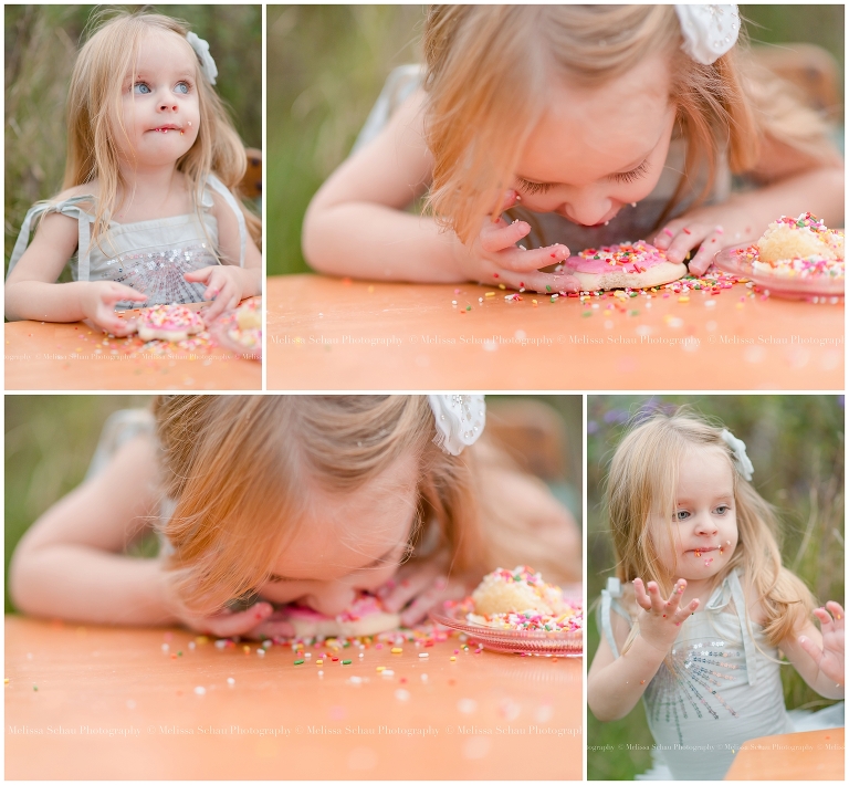 Cupcake Styled Photography Session by Melissa Schau Photography