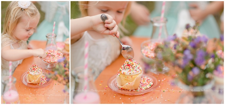 Cupcake Styled Photography Session by Melissa Schau Photography