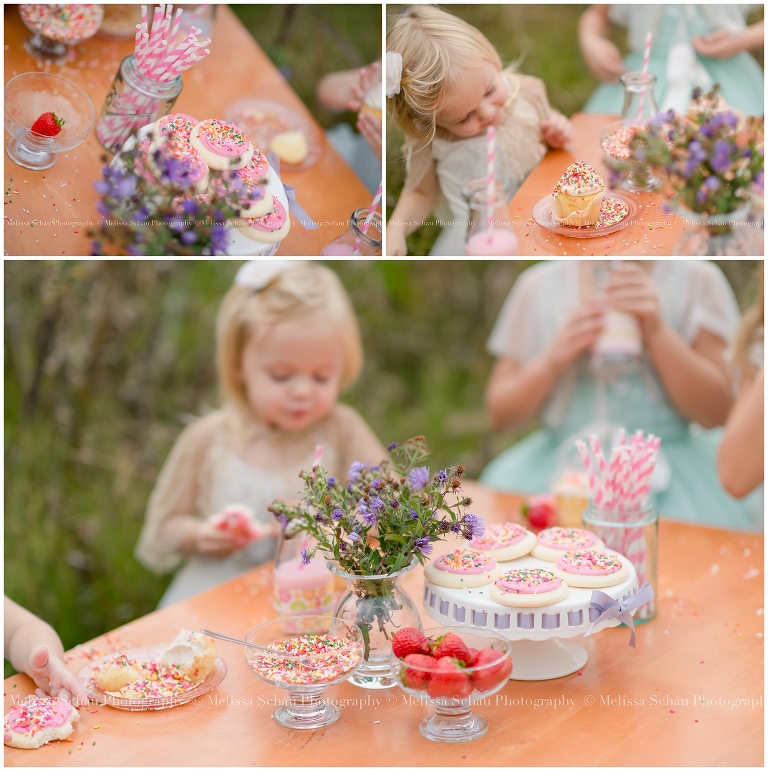 Cupcake Styled Photography Session by Melissa Schau Photography