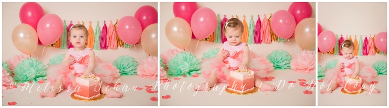 MelissaSchauPhotography_0177.jpg