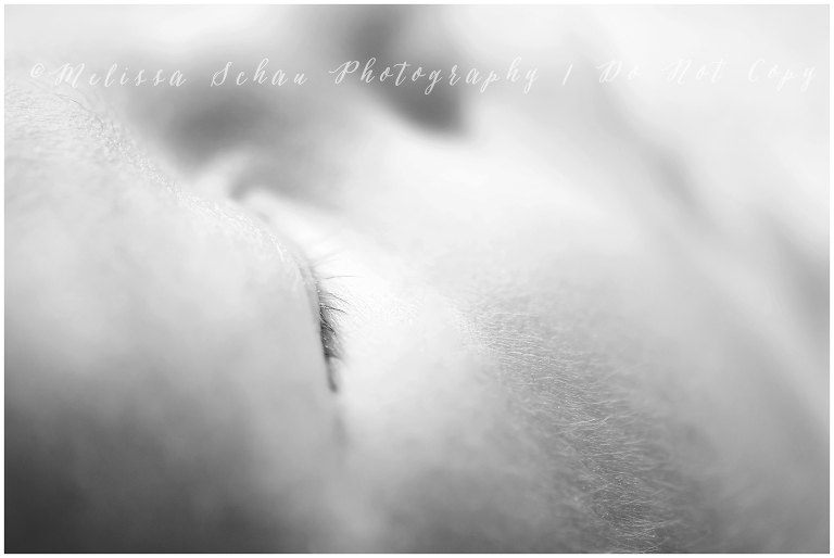 Newborn macro photo of eyelashes